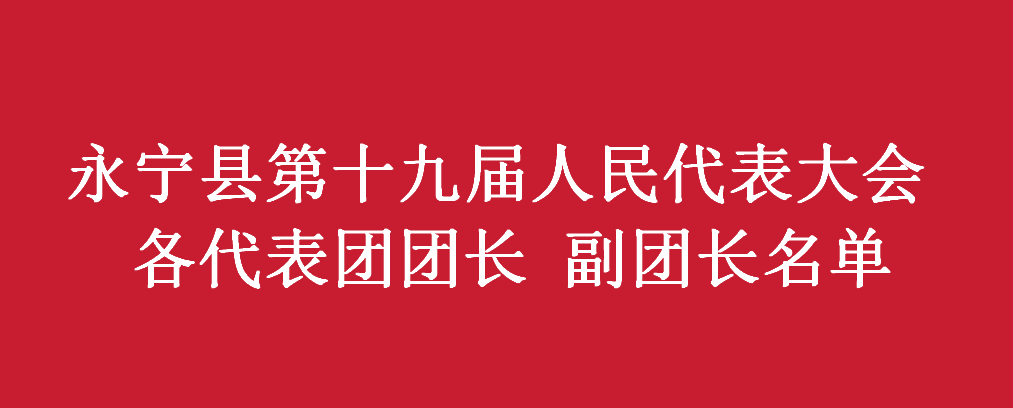 永寧縣第十九屆人民代表大會第四次會議 各代表團團長 副團長名單